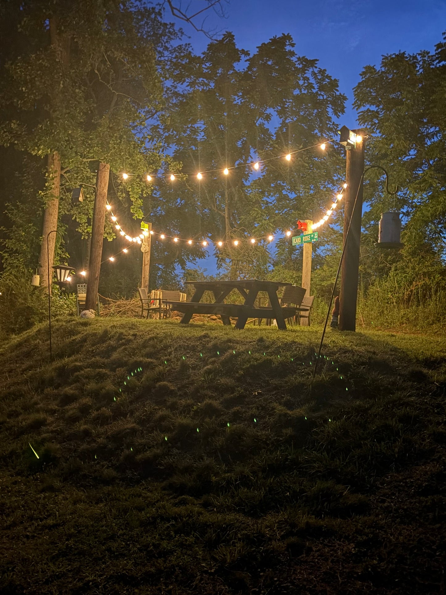 120' LED Outdoor String Lights