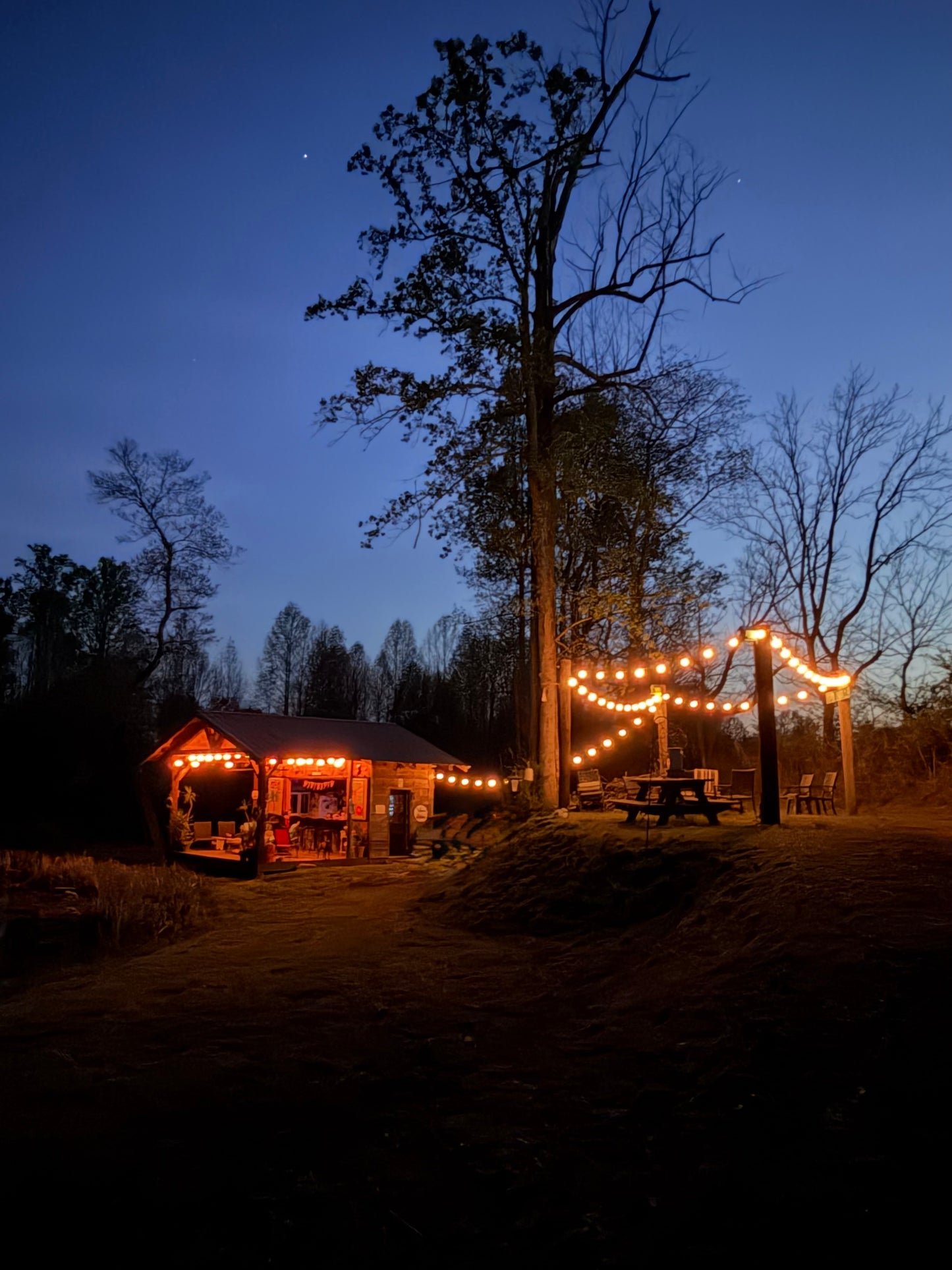 120' LED Outdoor String Lights