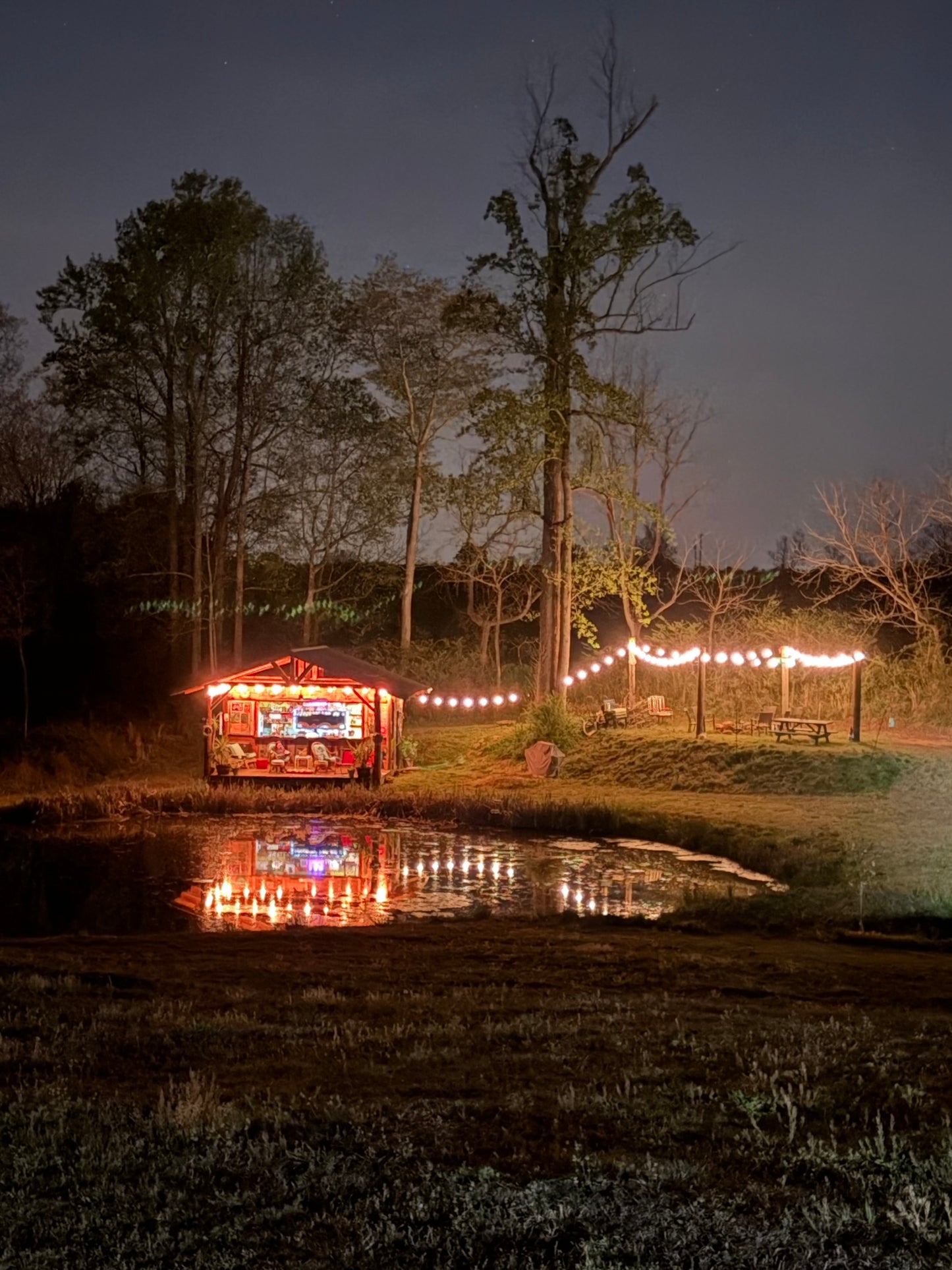 120' LED Outdoor String Lights