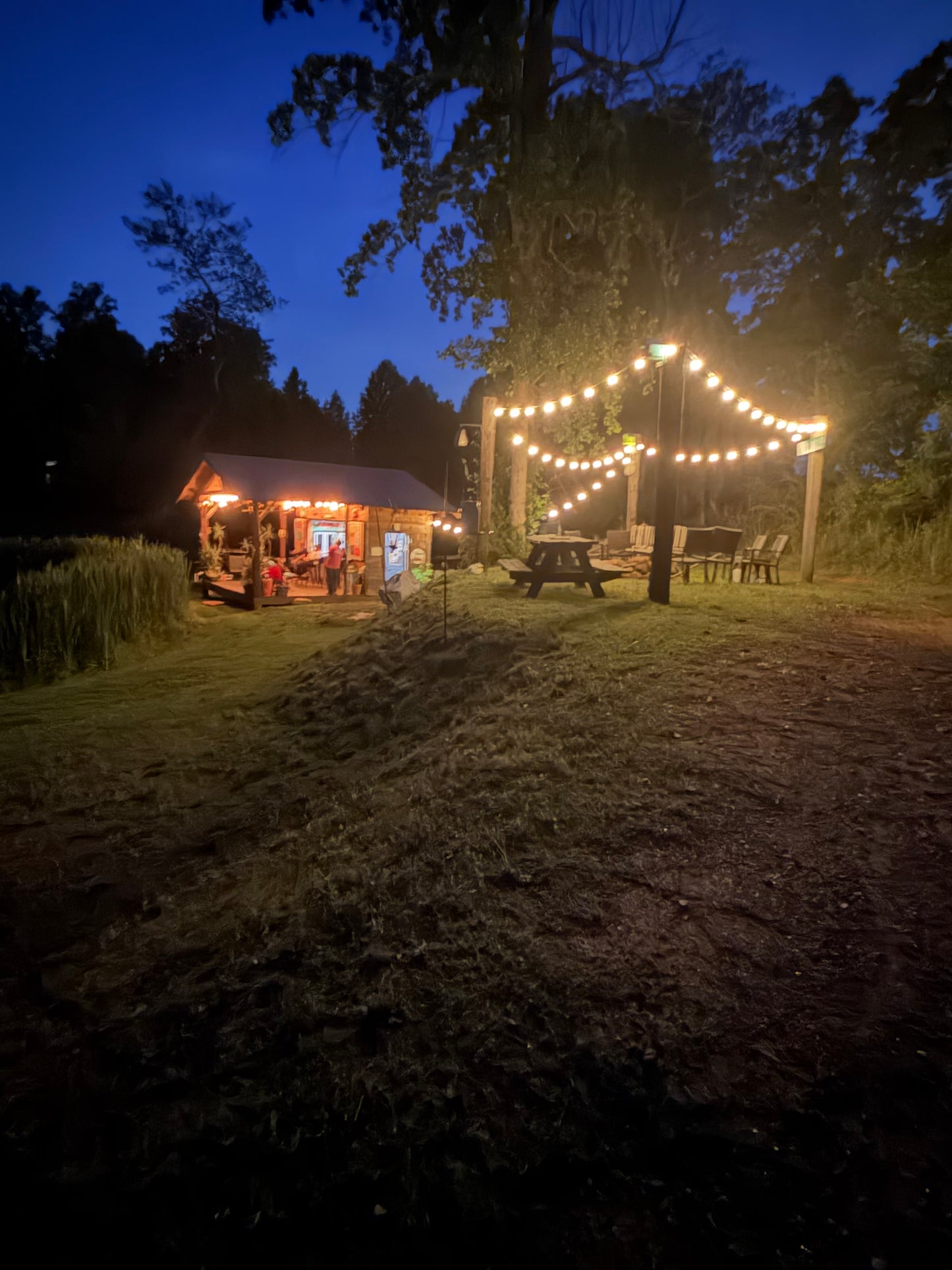 120' LED Outdoor String Lights