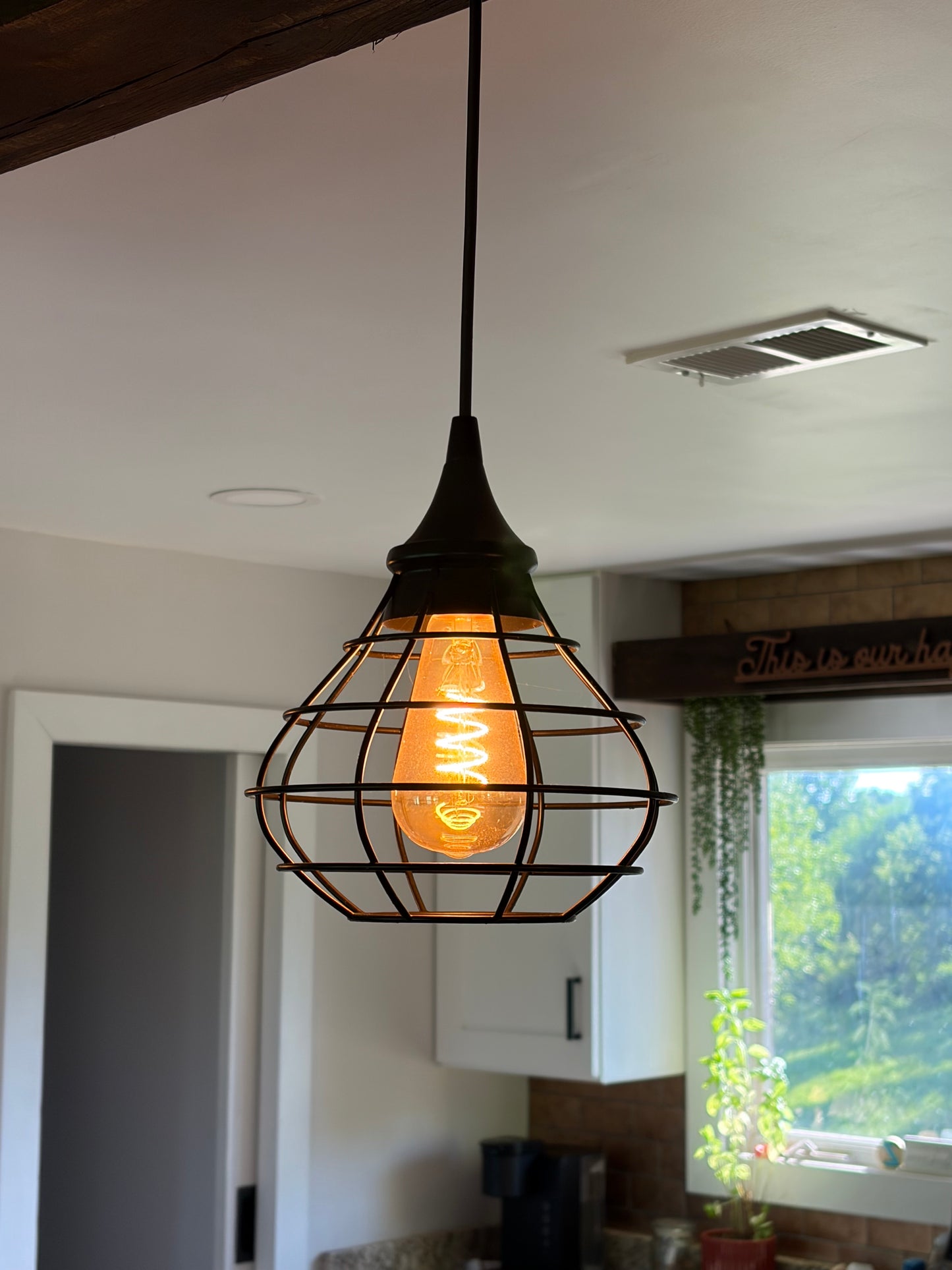 Industrial Cage Pendant Light