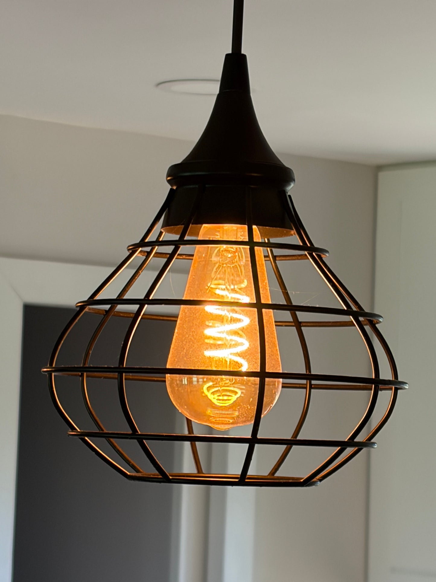 Industrial Cage Pendant Light