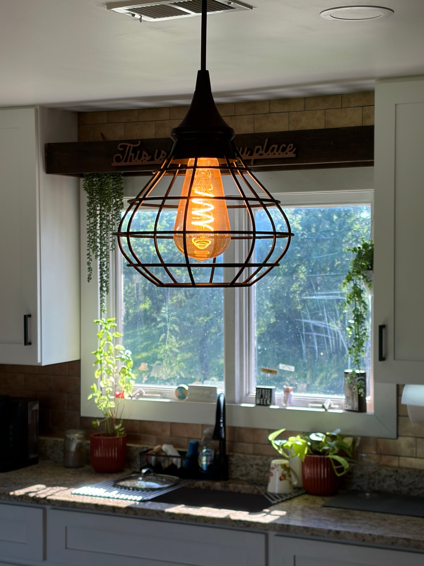 Industrial Cage Pendant Light